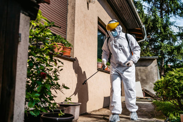 Best Wasp Removal Services  in Pace, FL