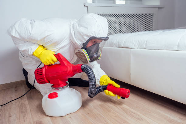 Best Bed Bug Extermination  in Pace, FL