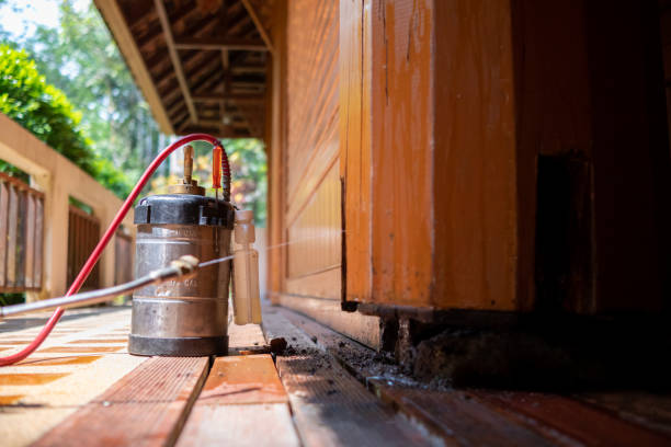 Best Termite Control Services  in Pace, FL